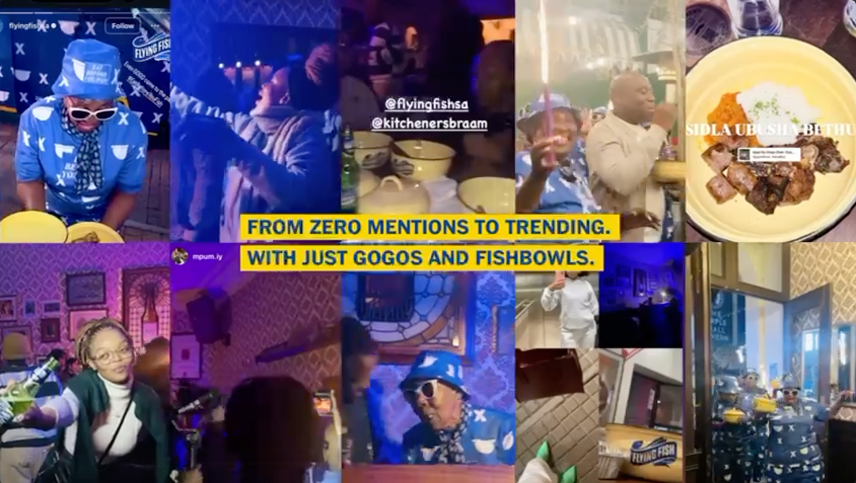 Fly Gogos serving food